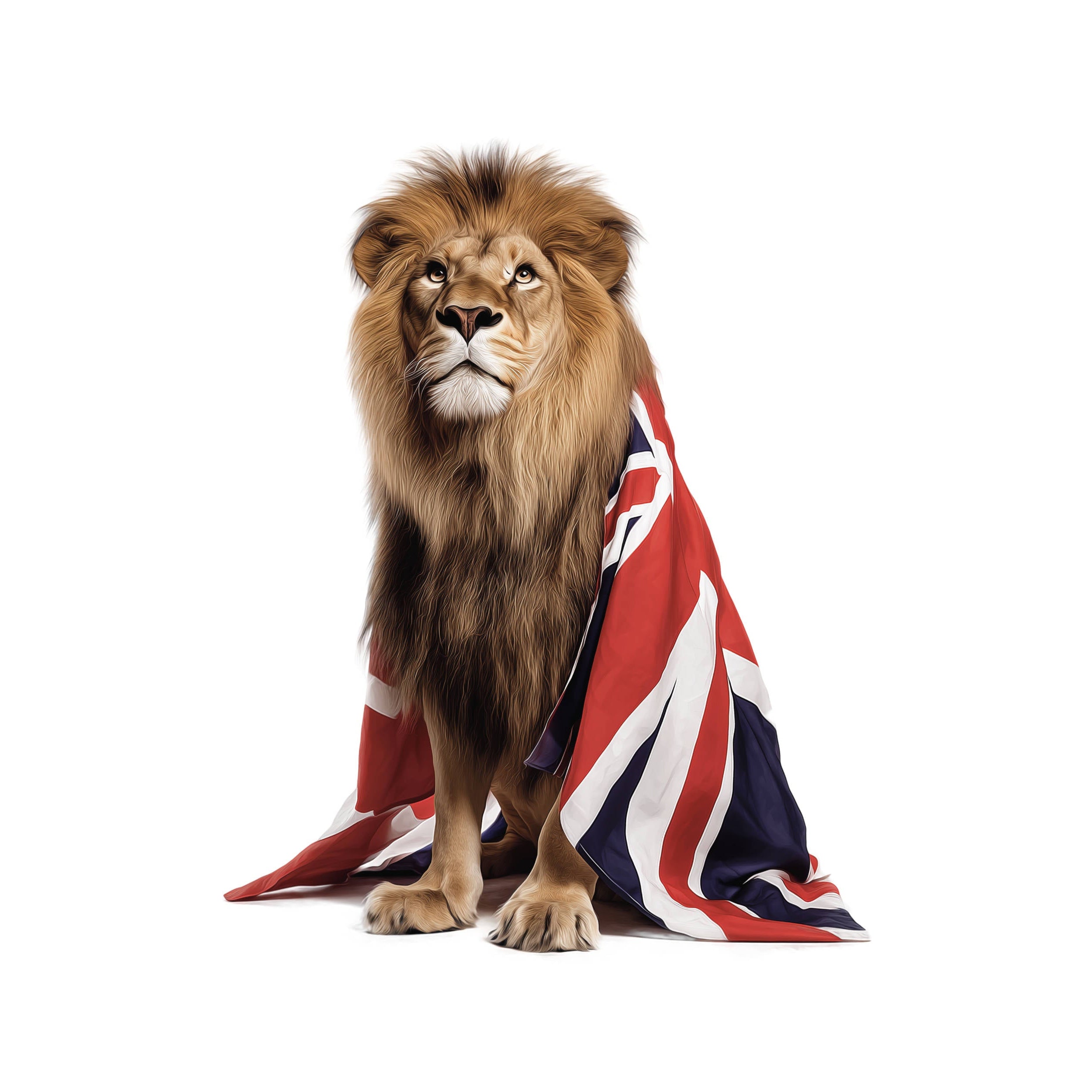 Lion wrapped in a Union Jack flag on a white background