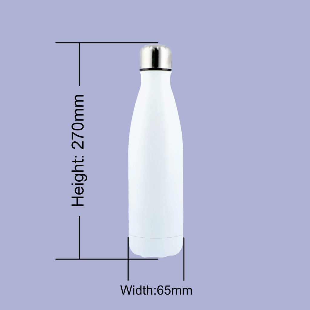 Officially Retired Stainless Steel Water Bottle: Humorous Retirement Gift