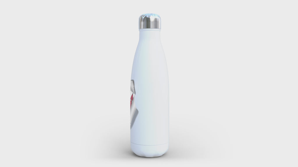 Welsh Flag Stainless Steel Water Bottle: Cymru Dragon Gift